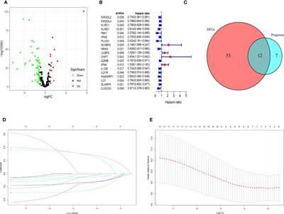 Natural killer cell-related prognostic risk model predicts prognosis and treatment outcomes in triple-negative breast cancer